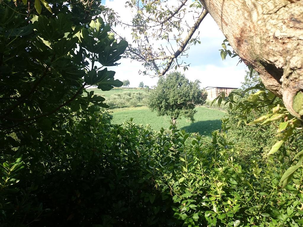 Country House Villa Sabrina San Ginesio Экстерьер фото